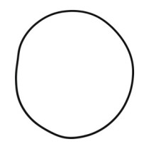 Těsnicí kroužek CATERPILLAR 941B 951B D4D