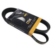 Víceřadý řemen CATERPILLAR...