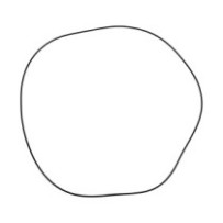 Těsnicí kroužek O-RING...