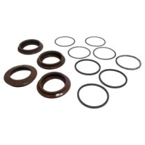 Sada těsnění VOLVO DUMPER A25F A30F