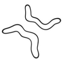 Ozubený klínový řemen...